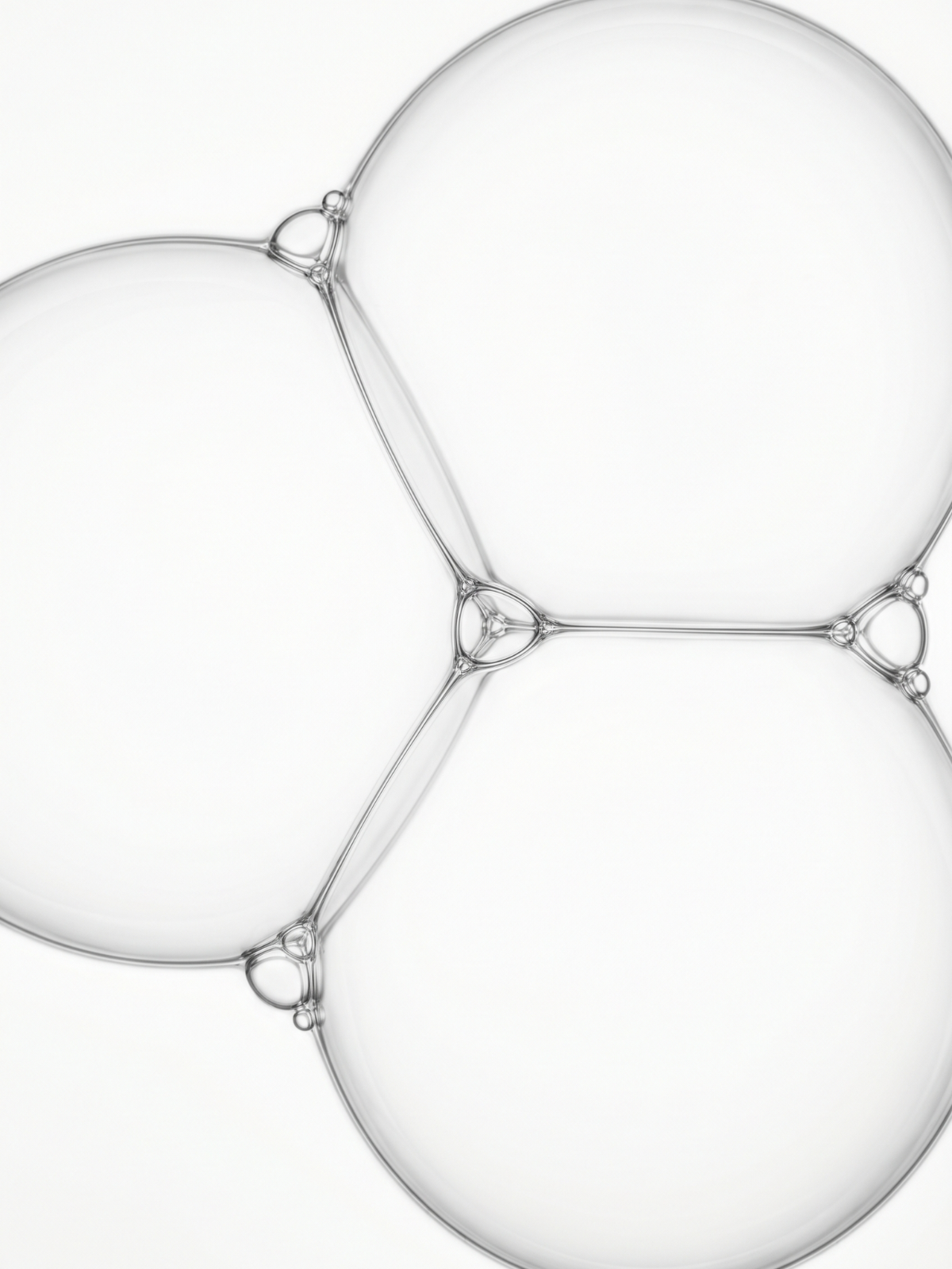 The Form of a B-Vitamin Matters More Than the Dose.